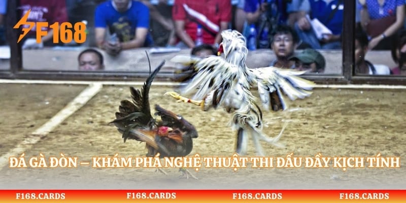 Đá Gà Đòn – Khám Phá Nghệ Thuật Thi Đấu Đầy Kịch Tính