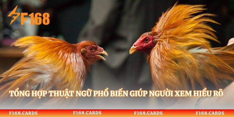 Tổng hợp thuật ngữ phổ biến giúp người xem hiểu rõ diễn biến trận đấu